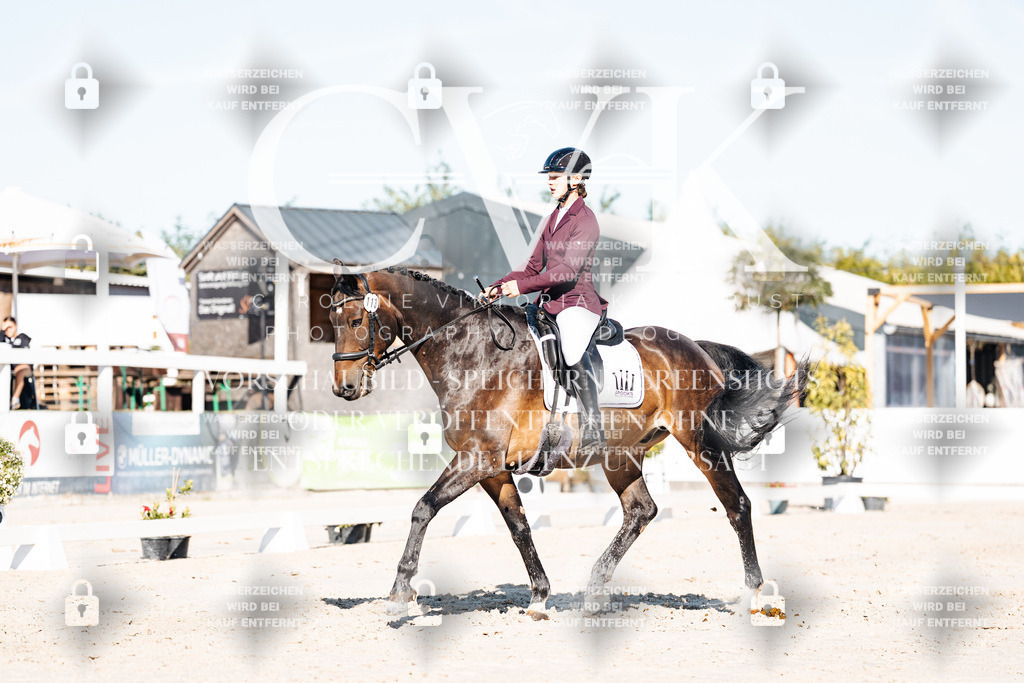CK907536 | Turnierfotografie Pferdefotografie Trier Rheinland-Pfalz Pferdesport Reitsport Tierfotografie Sportfotografie Pferdevideo Pferdevideografie Equestrianvideography equestrianphotography  - Realisiert mit Pictrs.com