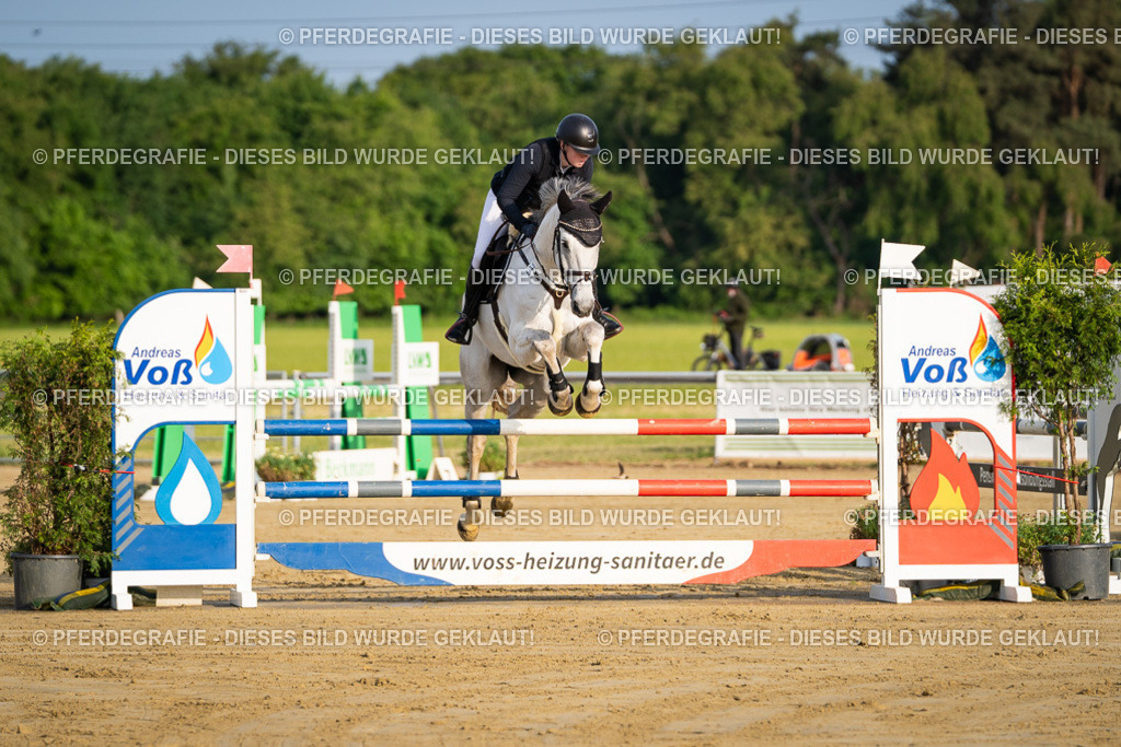 DSC01992 | Pferdegrafie