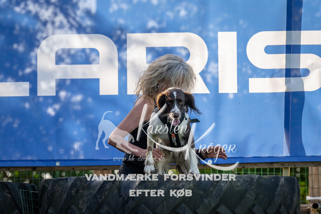 1145-92247 | kk-dogfotos