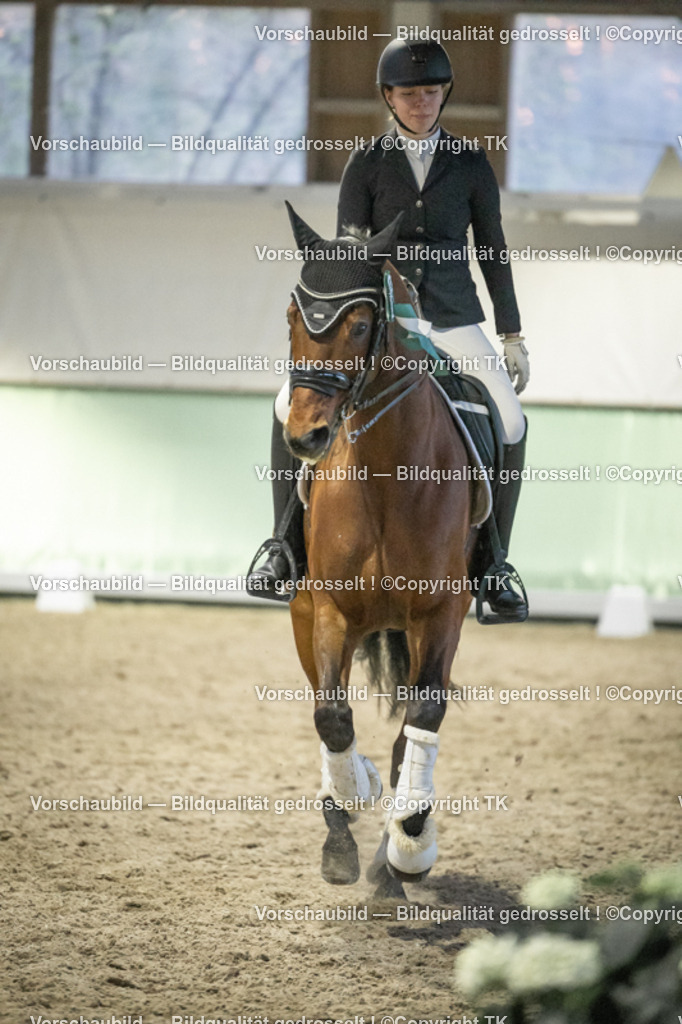 _D5A3843 | Emotionale Pferde- & People-Fotografie rund um Heidelberg, Leimen & Umgebung. Natürliche Fotos von Pferd, Mensch & Familie. Jetzt Termin sichern!