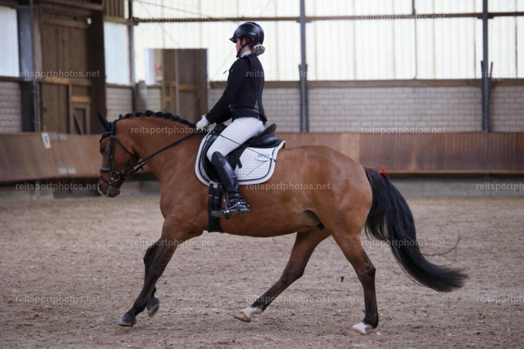 JHE_5756 | JoYa Fotografie - Realisiert mit Pictrs.com