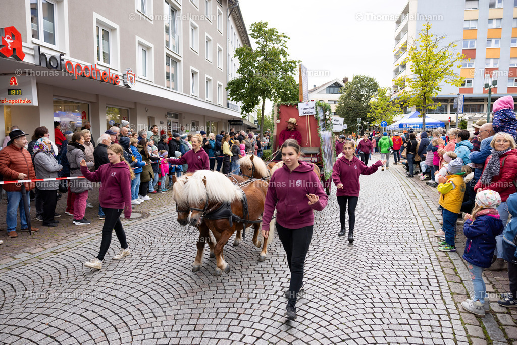 TH_Festumzug_21491 | CHI Donaueschingen 2024 am 12.09.24 in Donaueschingen, Festumzug