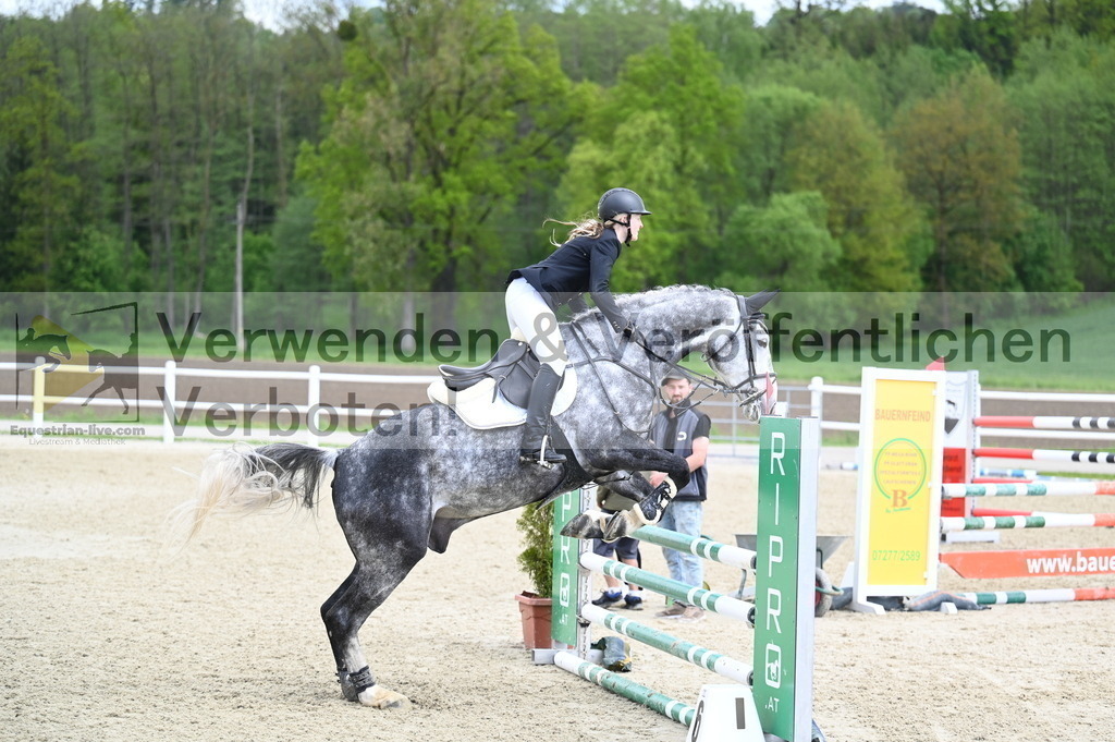 DSC_0736 | equestrian-live-com