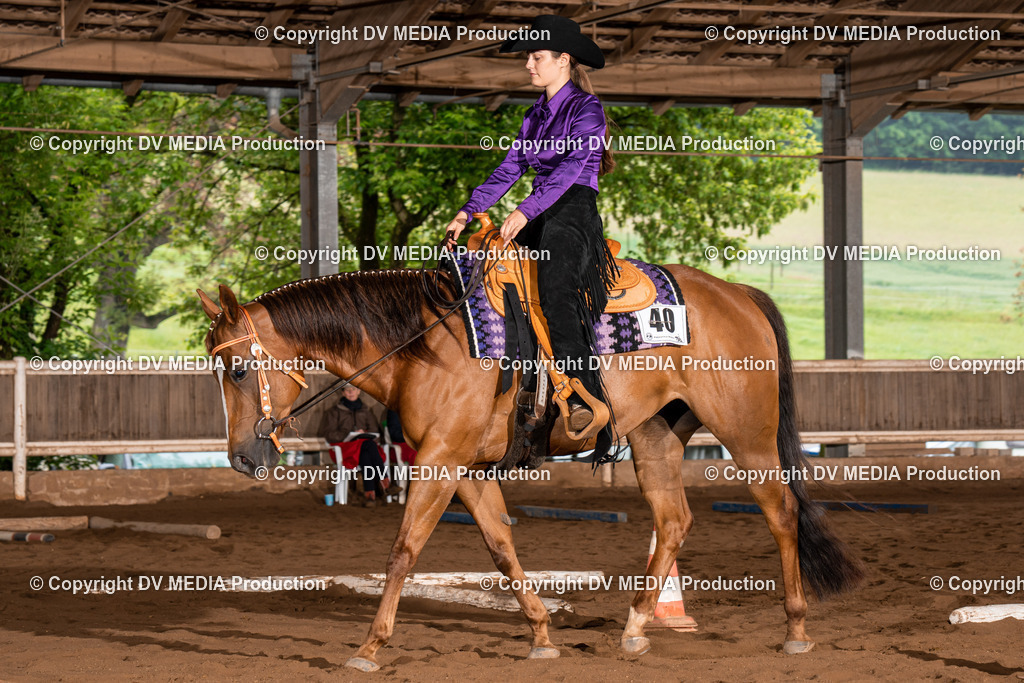 Erbach Tag 3-275 | dv-media-shop - Realisiert mit Pictrs.com