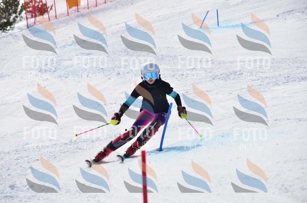 C9970 | holidayphoto