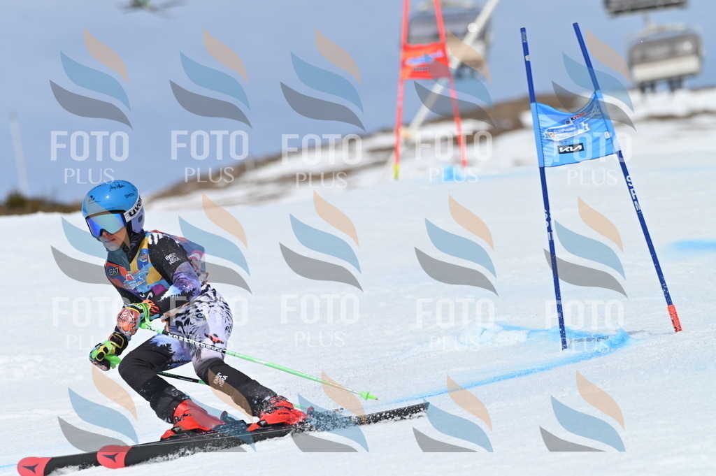 BGV_1344 | holidayphoto