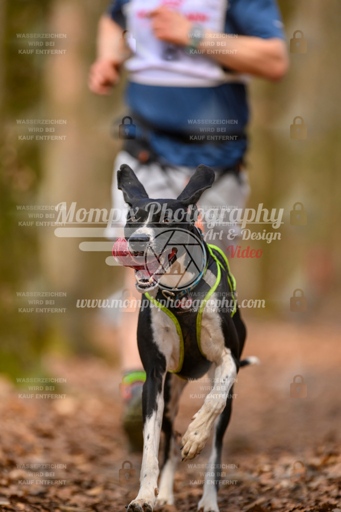 MompixPhotography_Habay2025_SA_CCL-52 | PayLife