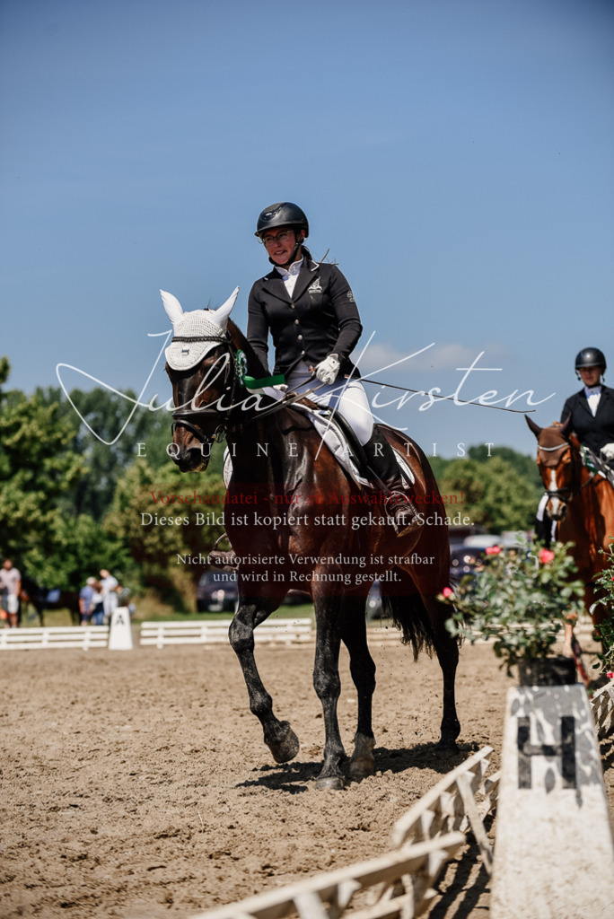 DSC_2079 | Pferde- und Turnierfotografie in Westsachsen. Pferdeportraits, Auftragszeichnungen und intuitive Kunst.