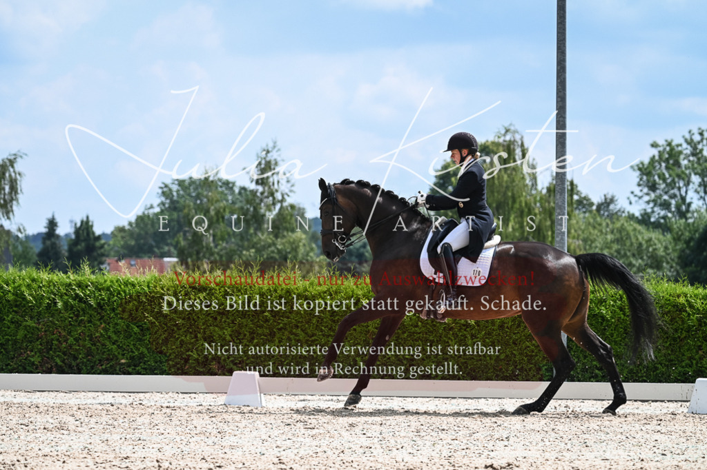 DSC_2591 | Pferde- und Turnierfotografie in Westsachsen. Pferdeportraits, Auftragszeichnungen und intuitive Kunst.