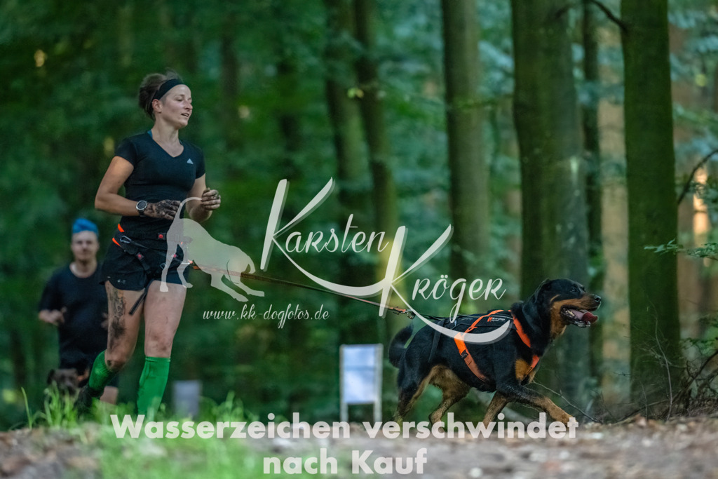 0900_ZZ90062-Bearbeitet | kk-dogfotos