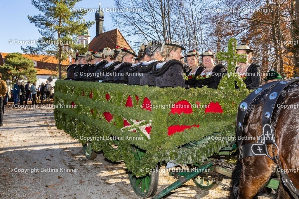 LBT25-1332 | foto-bettina-krinner - Realisiert mit Pictrs.com