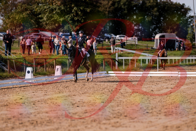 2026_10_03_Siefer-Hof_121552_Z81_17623903 | Professionelle Reitsport-, Turnier- und Eventfotografie von Robert Broda. Galerien mit ausgewählten und bearbeiteten Bildern direkt online ansehen und bestellen.