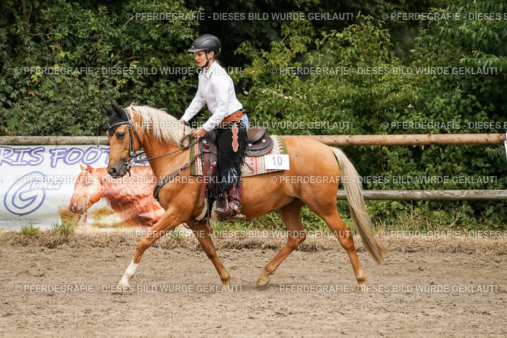 DSC00240 | Pferdegrafie