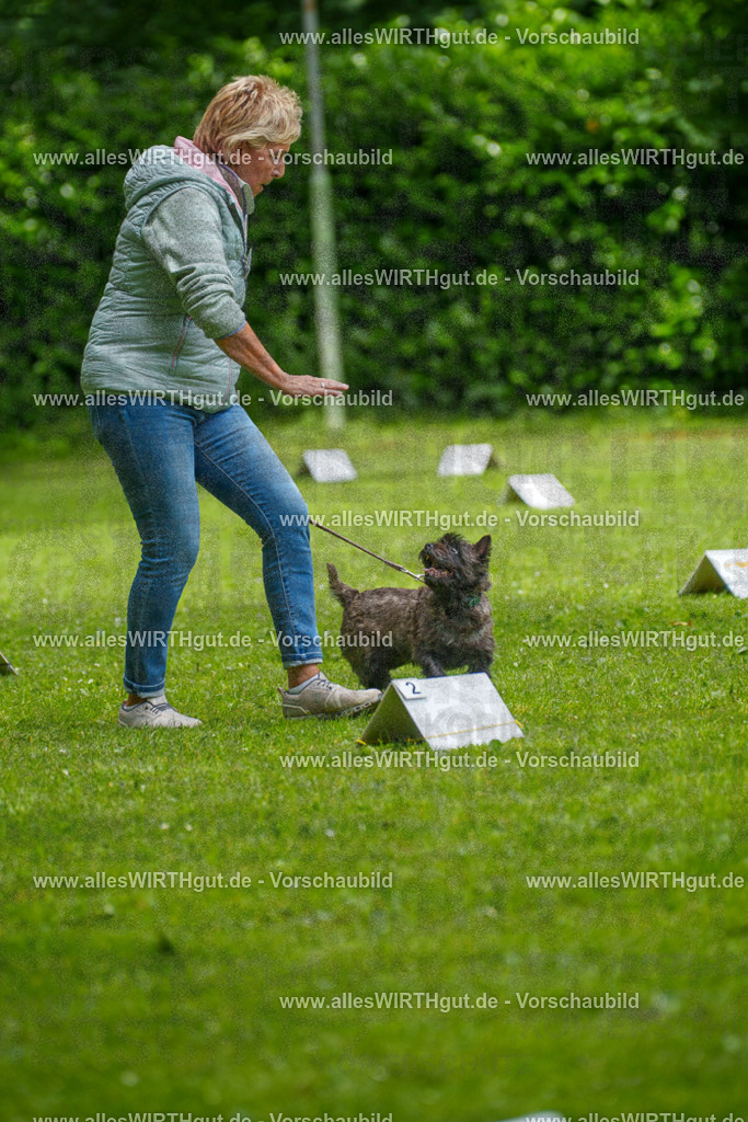 @allesWIRTHgut_Tierfotografie - www.allesWIRTHgut.de - 7R504414 | Professionelle Tierfotografie in Mönchengladbach von Daniel Wirth (allesWIRTHgut). Liebevolle & natürliche Bilder von Hunden & Katzen für unvergessliche Erinnerungen.