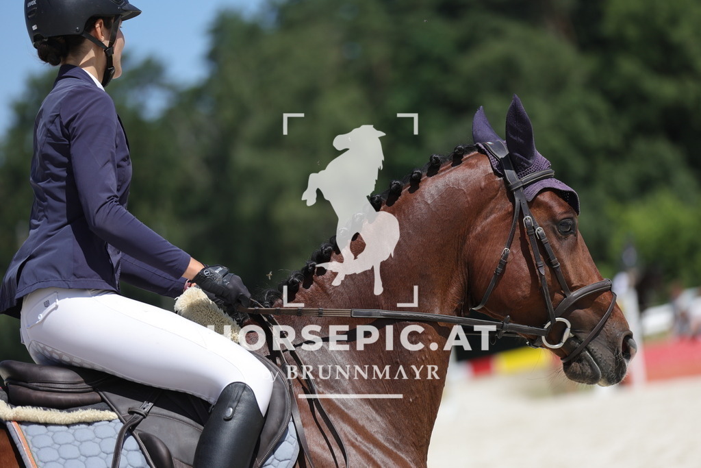 0P6A8330 | Willkommen bei Brunnmayr - Design & Fotografie – Ihrem Spezialisten für Reitturniere und Pferdeveranstaltungen in Oberösterreich, Salzburg und Bayern! Seit über 17 Jahren sind wir leidenschaftlich dabei.