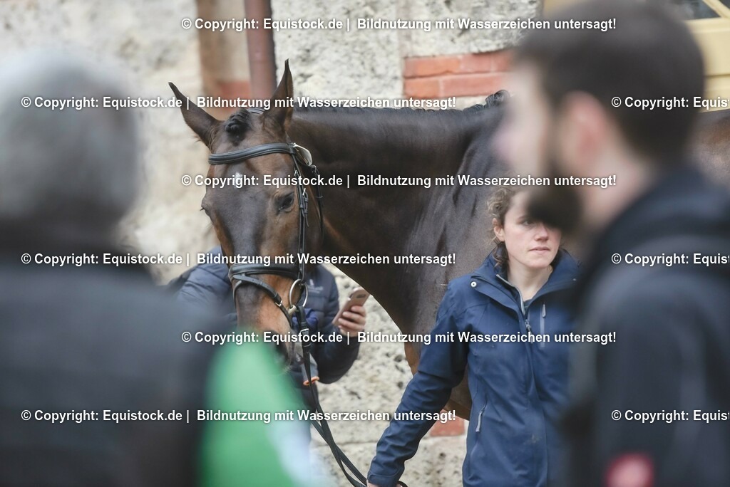 20230514_Impressionen_0147 | equistock