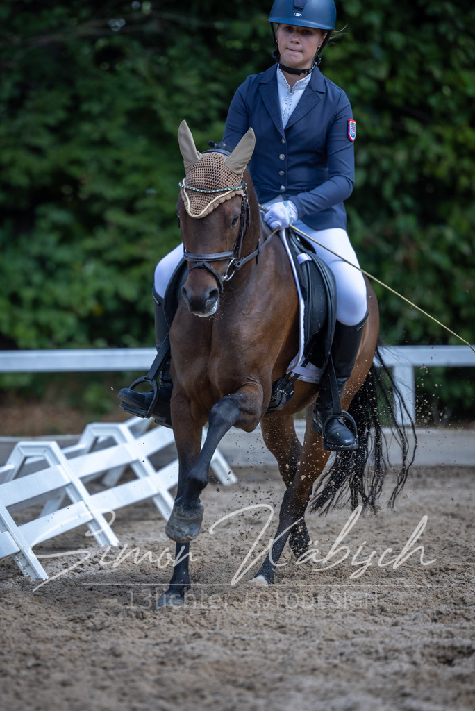 20260905-_3LI8439 | Tierfotografie Pferde, Hunde, Katzen, Haustiere.
Turnierfotografie Reitturniere, Reiten, Springreiten, Dressur in Hanau, dem Main-Kinzig-Kreis und dem Rhein-Main- Gebiet um Frankfurt