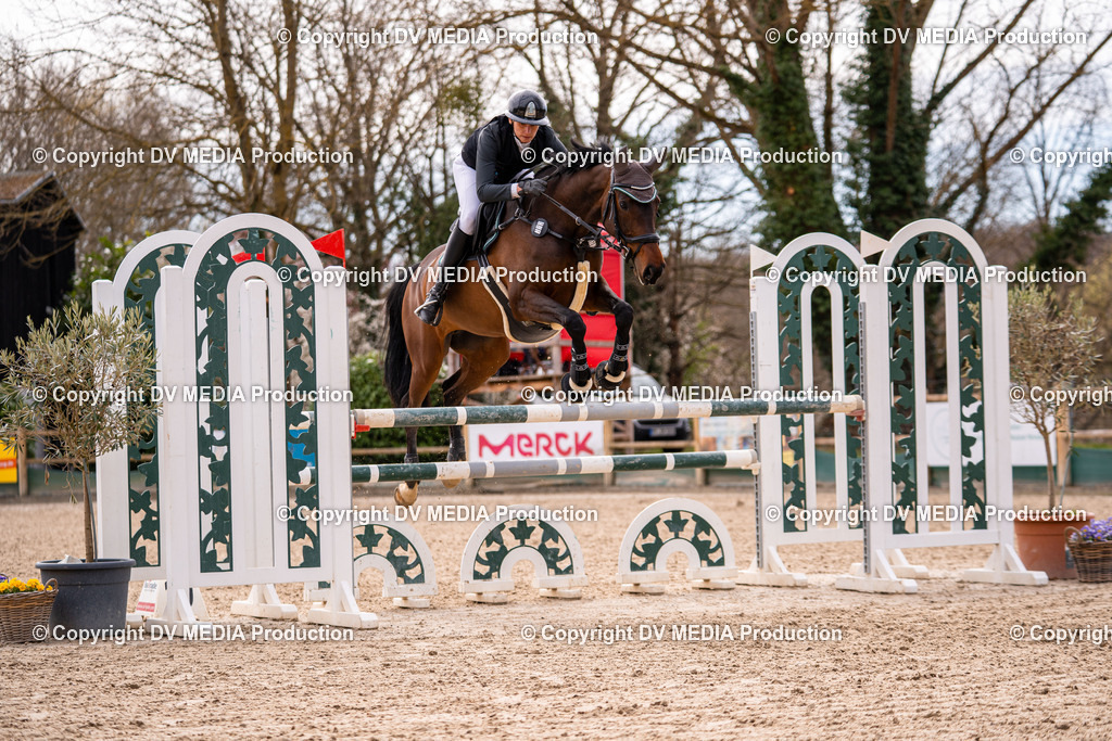 Kranichstein Tag 2-613 | dv-media-shop - Realisiert mit Pictrs.com