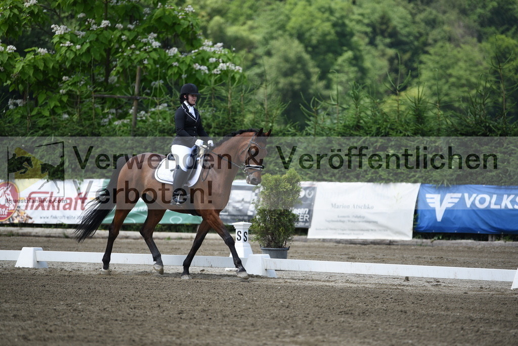 DSC_9917 | equestrian-live-com