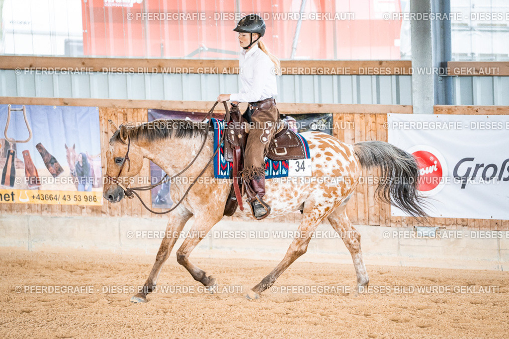 DSC09377 | Pferdegrafie