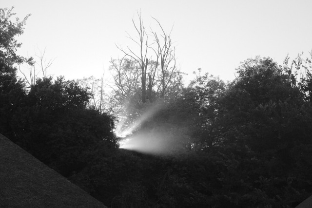 _DSF7822-OzaraPT1 | blende43