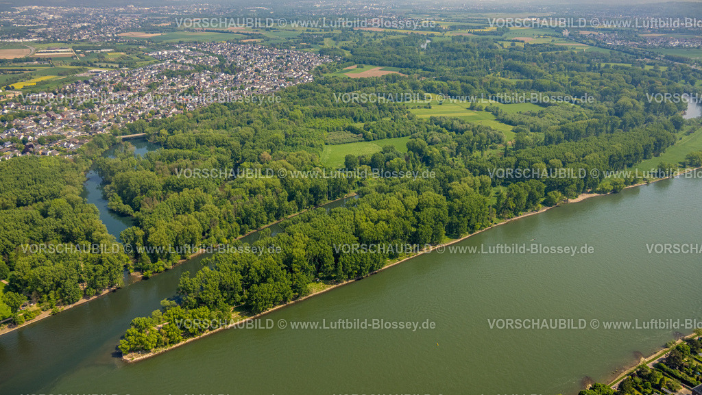 Bonn240501565Siegmuendung | Luftbild, Fluss Rhein und Fluss Sieg mit Siegmündung und Waldgebiet Siegaue, Diescholl Altarm der Sieg und Waldgebiet, Ortsansicht Mondorf und Bergheim, Schwarzrheindorf, Bonn, Nordrhein-Westfalen, Deutschland