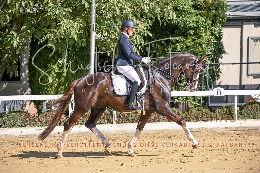 Schugtsche-Aluta25-52.Dressurprf.M2Kand-382 | Schugtsche Fotografie - Realizzato con Pictrs.com