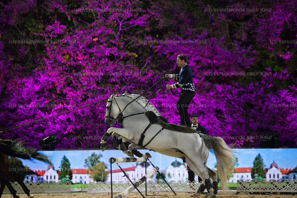 FHClassics-387 | working equitationturnier fotograf videograf stoibphotography marixx film working equitation deutschland reitsport turnierfotografie eventfotografie equestrian events