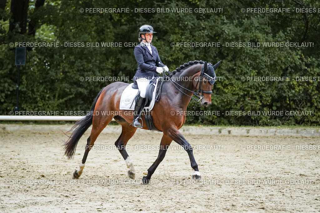 DSC00282 | Pferdegrafie