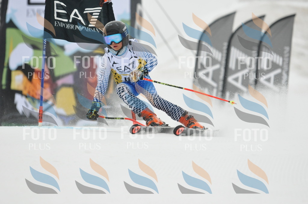 DSC_8657 | holidayphoto