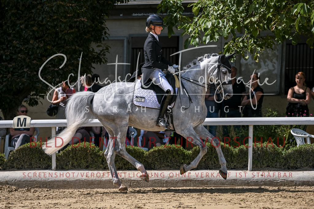 Schugtsche-Aluta25-58. Dressurprf.S1Kand.St.GeorgSpecial-113 | Schugtsche Fotografie - Realisiert mit Pictrs.com