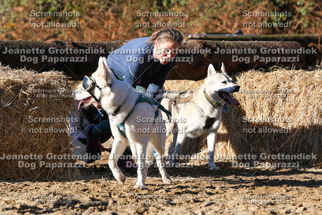 Dog Paparazzi - Strongdog 10-25-1681 | Dog Paparazzi Jeanette Grottendiek Fotografie & Videografie - Realisiert mit Pictrs.com