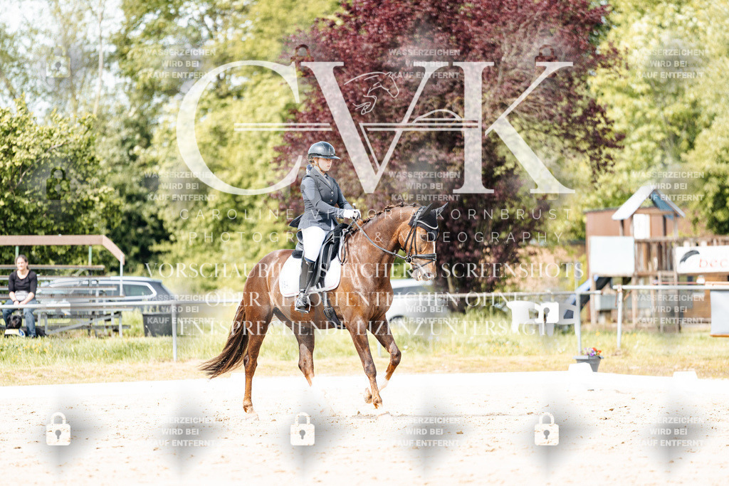 CK901339 | Turnierfotografie Pferdefotografie Trier Rheinland-Pfalz Pferdesport Reitsport Tierfotografie Sportfotografie Pferdevideo Pferdevideografie Equestrianvideography equestrianphotography  - Realisiert mit Pictrs.com