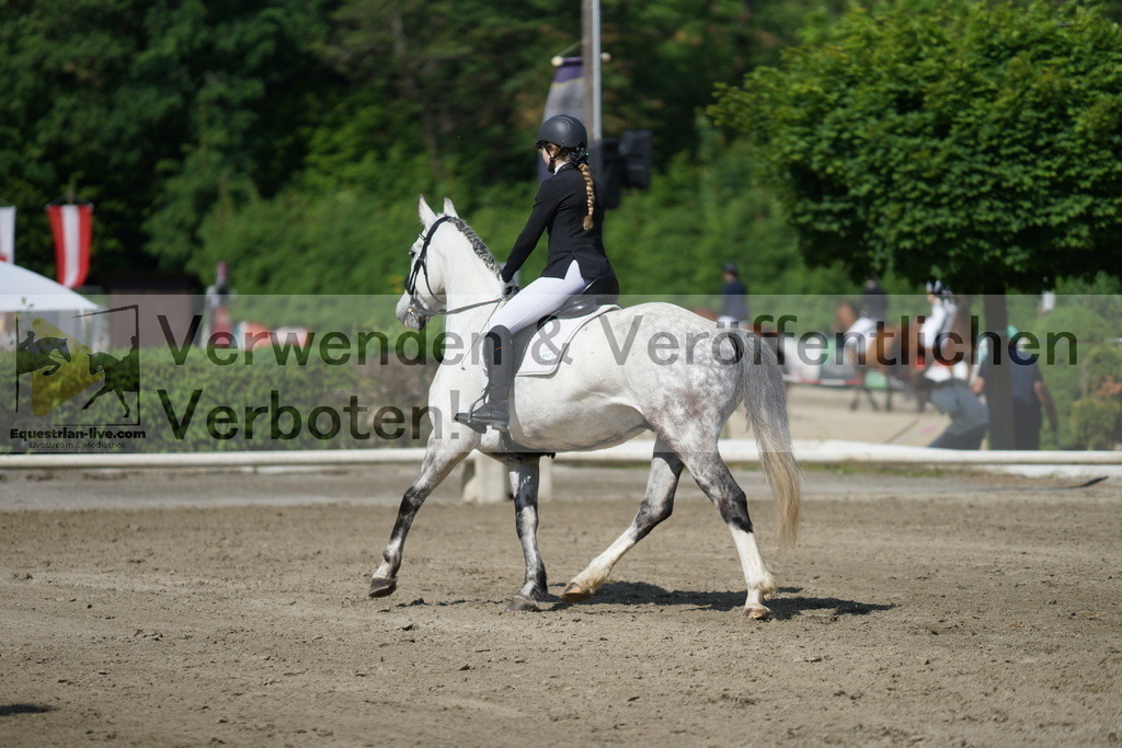 DSC04389 | equestrian-live-com