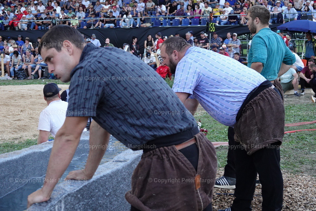 DSC01805 | Schwingen - Realisiert mit Pictrs.com