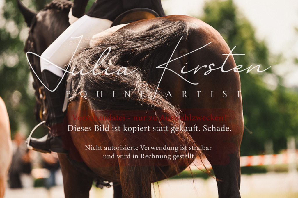 DSC_6242 | Pferde- und Turnierfotografie in Westsachsen. Pferdeportraits, Auftragszeichnungen und intuitive Kunst.