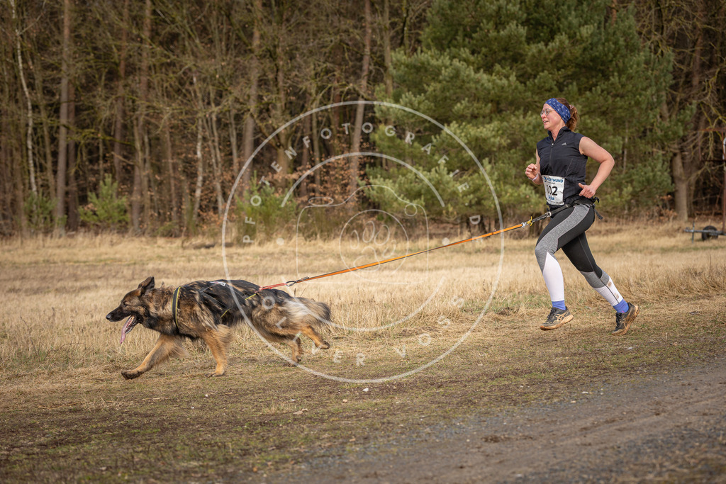 DV3A4087 | Hundefotografie, Tierfotograf, Pfotenfotografie, Fotoshooting Hund, Hunde Portrait, Hundesport, Hundeportraits, Heideshooting, Hunde, Sportfotograf, Hundefotograf, Turnierhundsport, THS,  - Realisiert mit Pictrs.com