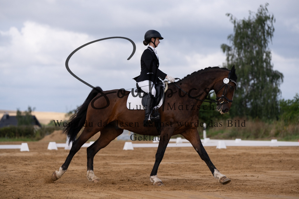 A7V05184 | Pferdefotograf