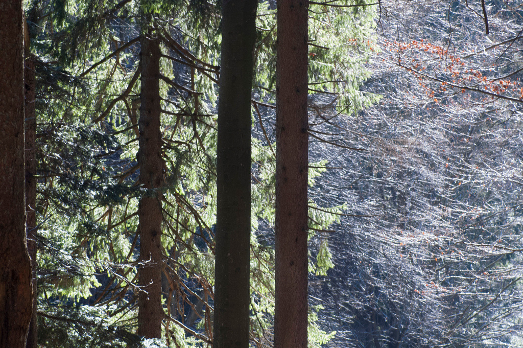 105 | KONICA MINOLTA DIGITAL CAMERA