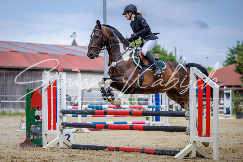 20260705-_3LI3809 | Tierfotografie Pferde, Hunde, Katzen, Haustiere.
Turnierfotografie Reitturniere, Reiten, Springreiten, Dressur in Hanau, dem Main-Kinzig-Kreis und dem Rhein-Main- Gebiet um Frankfurt