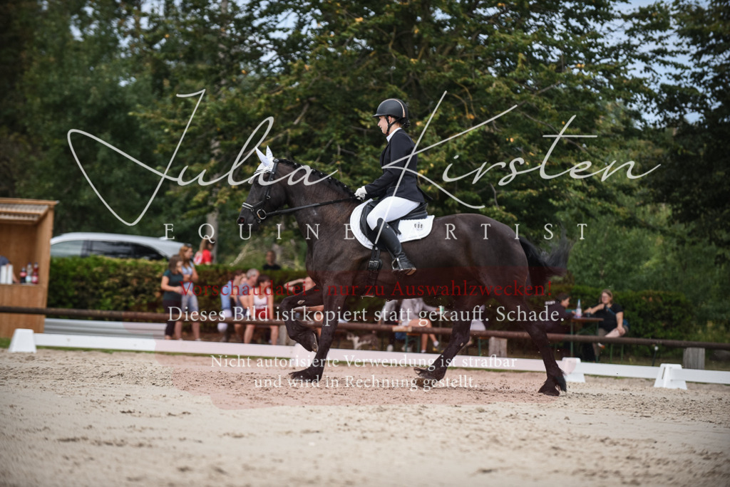 DSC_8593 | Pferde- und Turnierfotografie in Westsachsen. Pferdeportraits, Auftragszeichnungen und intuitive Kunst.