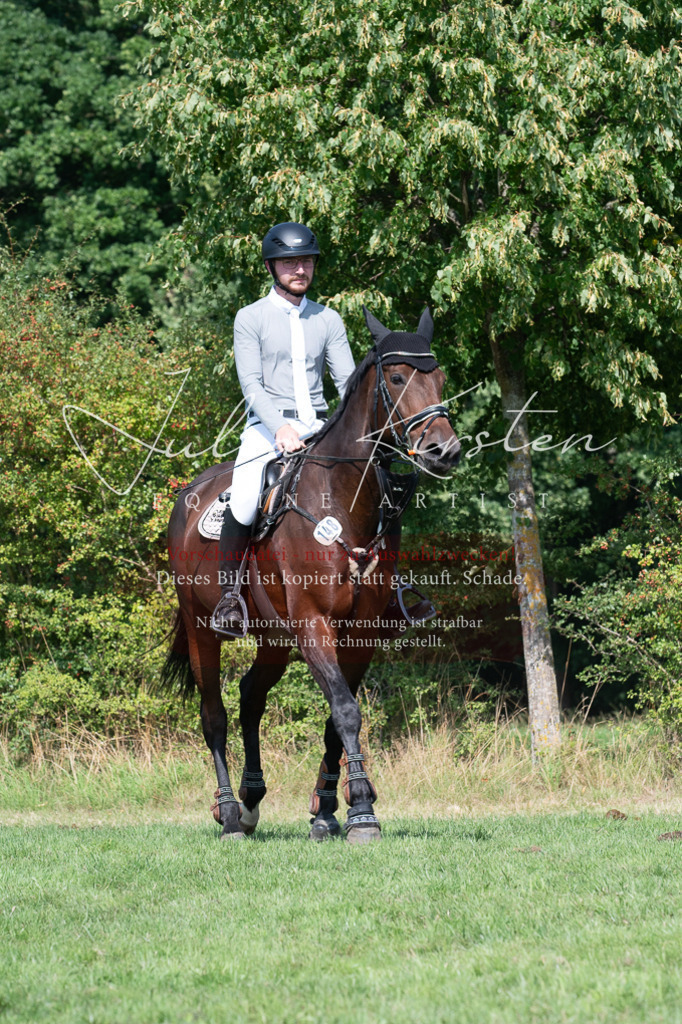 DSC_0802 | Pferde- und Turnierfotografie in Westsachsen. Pferdeportraits, Auftragszeichnungen und intuitive Kunst.