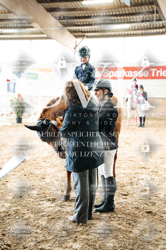 CK702971 | Turnierfotografie Pferdefotografie Trier Rheinland-Pfalz Pferdesport Reitsport Tierfotografie Sportfotografie Pferdevideo Pferdevideografie Equestrianvideography equestrianphotography  - Realisiert mit Pictrs.com