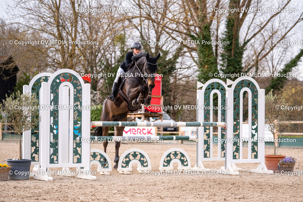 Kranichstein Tag 2-346 | dv-media-shop - Realisiert mit Pictrs.com