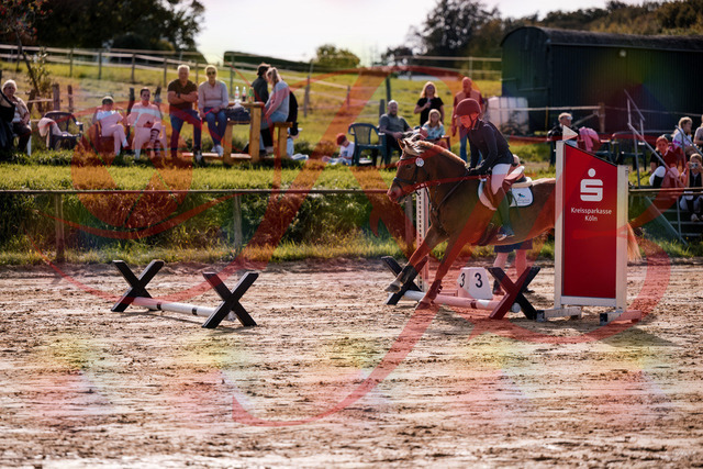 2026_10_03_Siefer-Hof_144705_Z81_23634440 | Professionelle Reitsport-, Turnier- und Eventfotografie von Robert Broda. Galerien mit ausgewählten und bearbeiteten Bildern direkt online ansehen und bestellen.