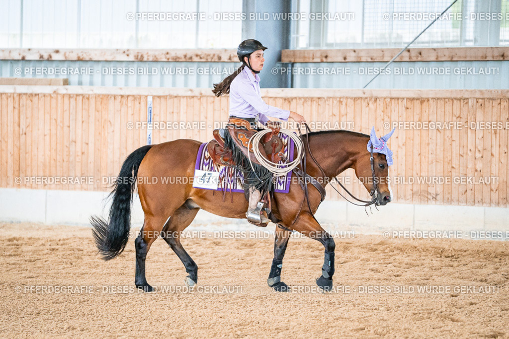 DSC09336 | Pferdegrafie