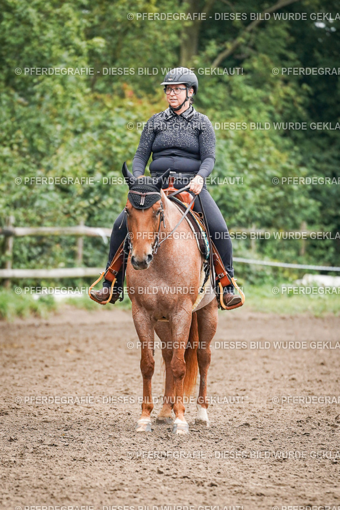 DSC02043 | Pferdegrafie