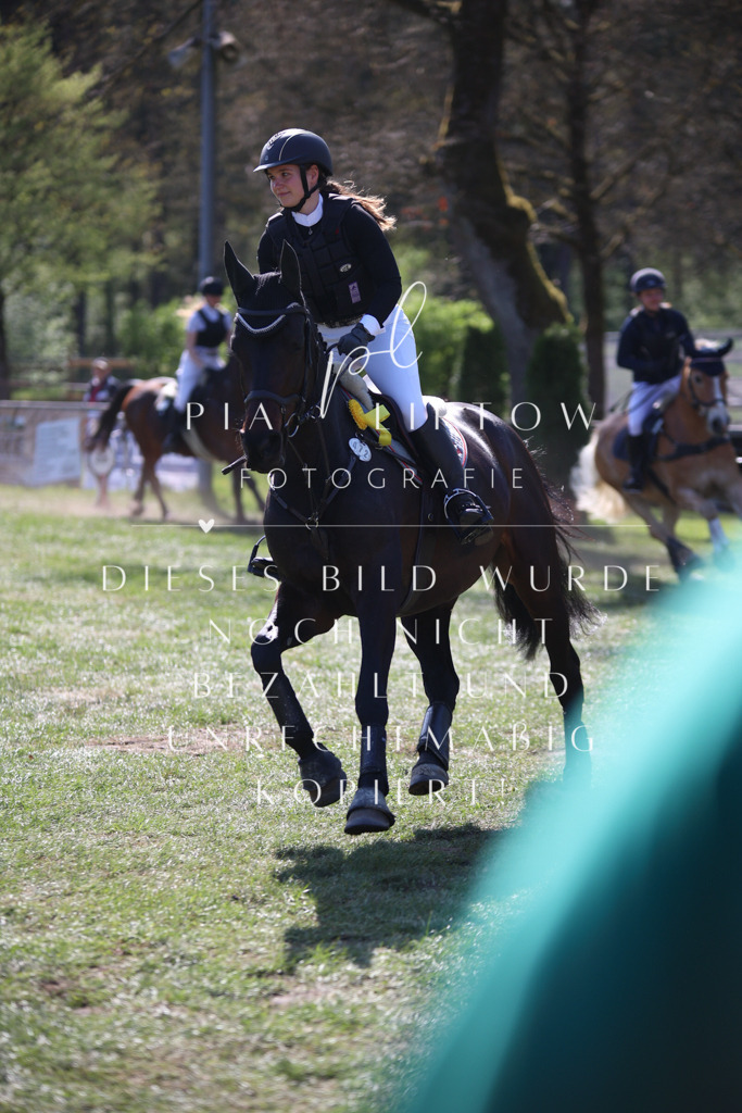 IMGT9011 | pl-fotografie