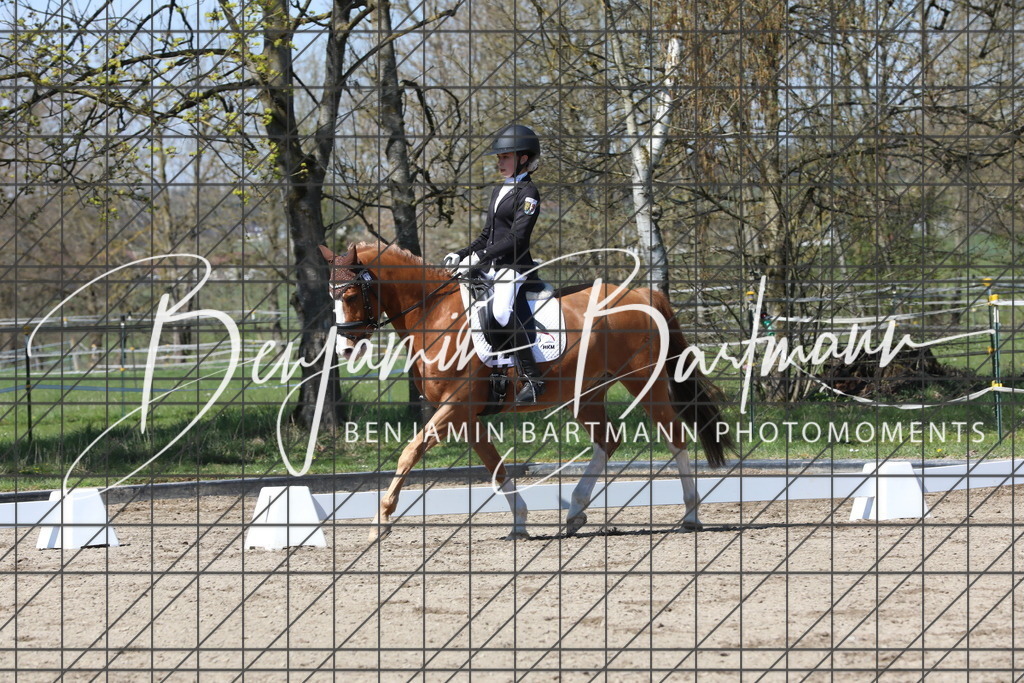 AZ2A4828 | Benjamin Bartmann Photomoments