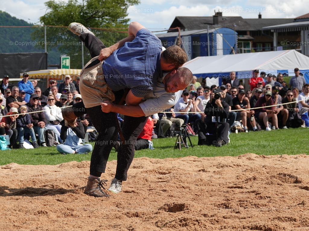 DSC07114 | Schwingen - Realisiert mit Pictrs.com